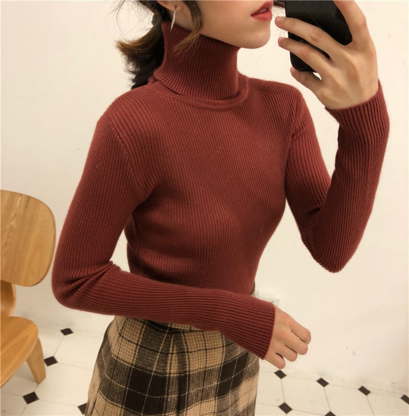 Vivienne Ironside Turtleneck Sweater