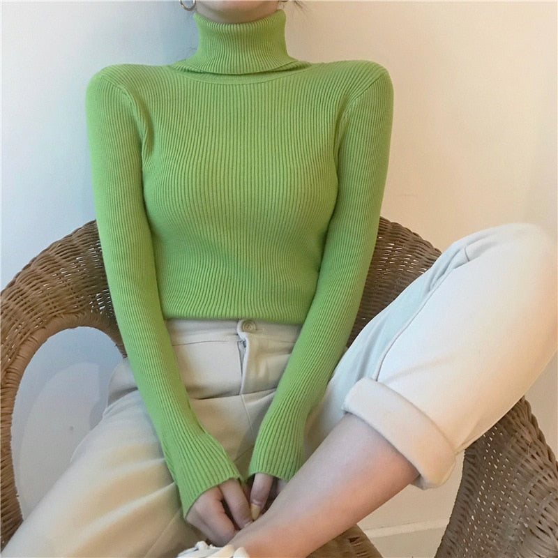 Vivienne Ironside Turtleneck Sweater